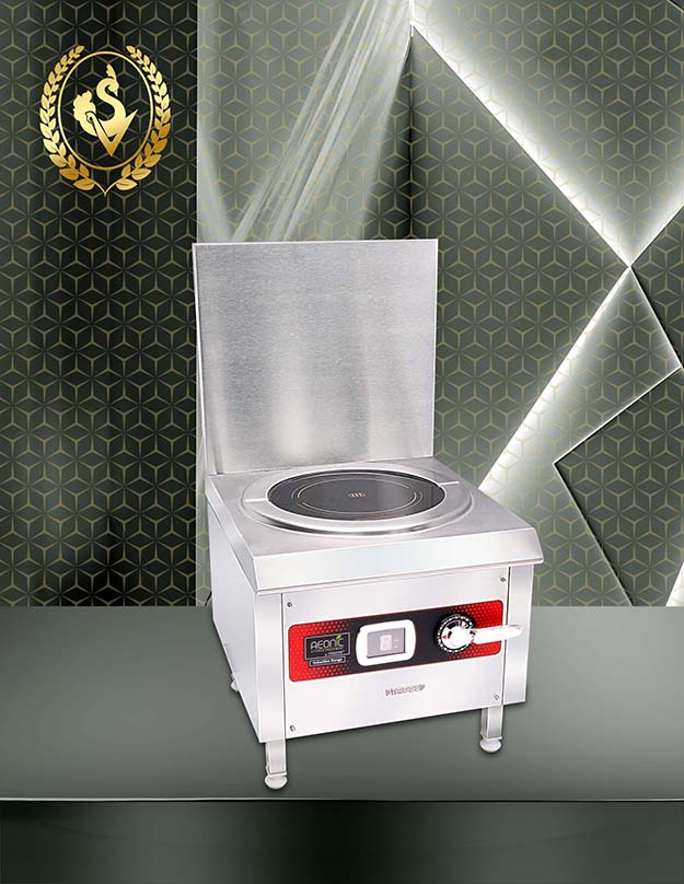 Best Commercial Induction Cooker SV Horeca Solutions